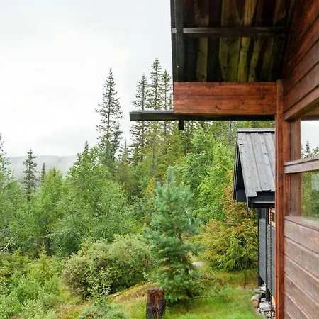 Architectural Gem Near Cross Country Trails Eggedal